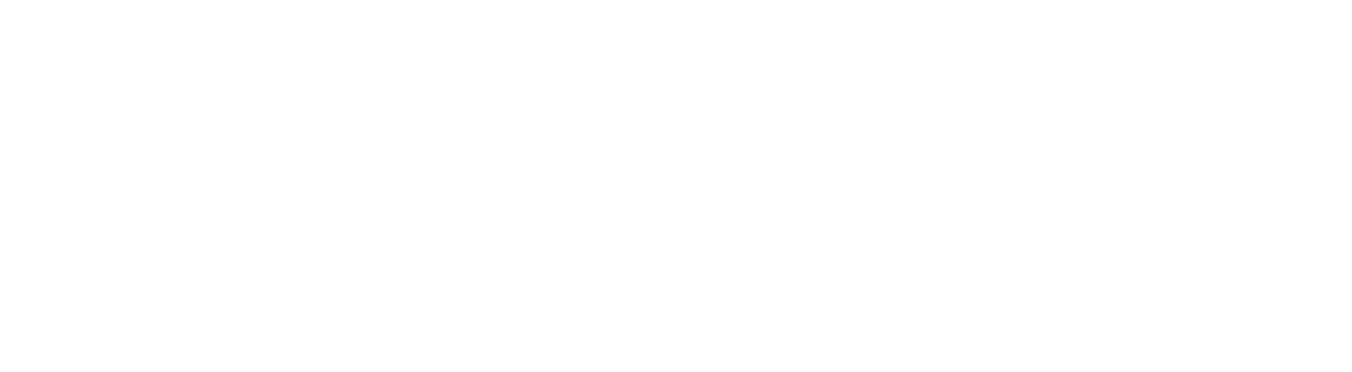 Domig Transport