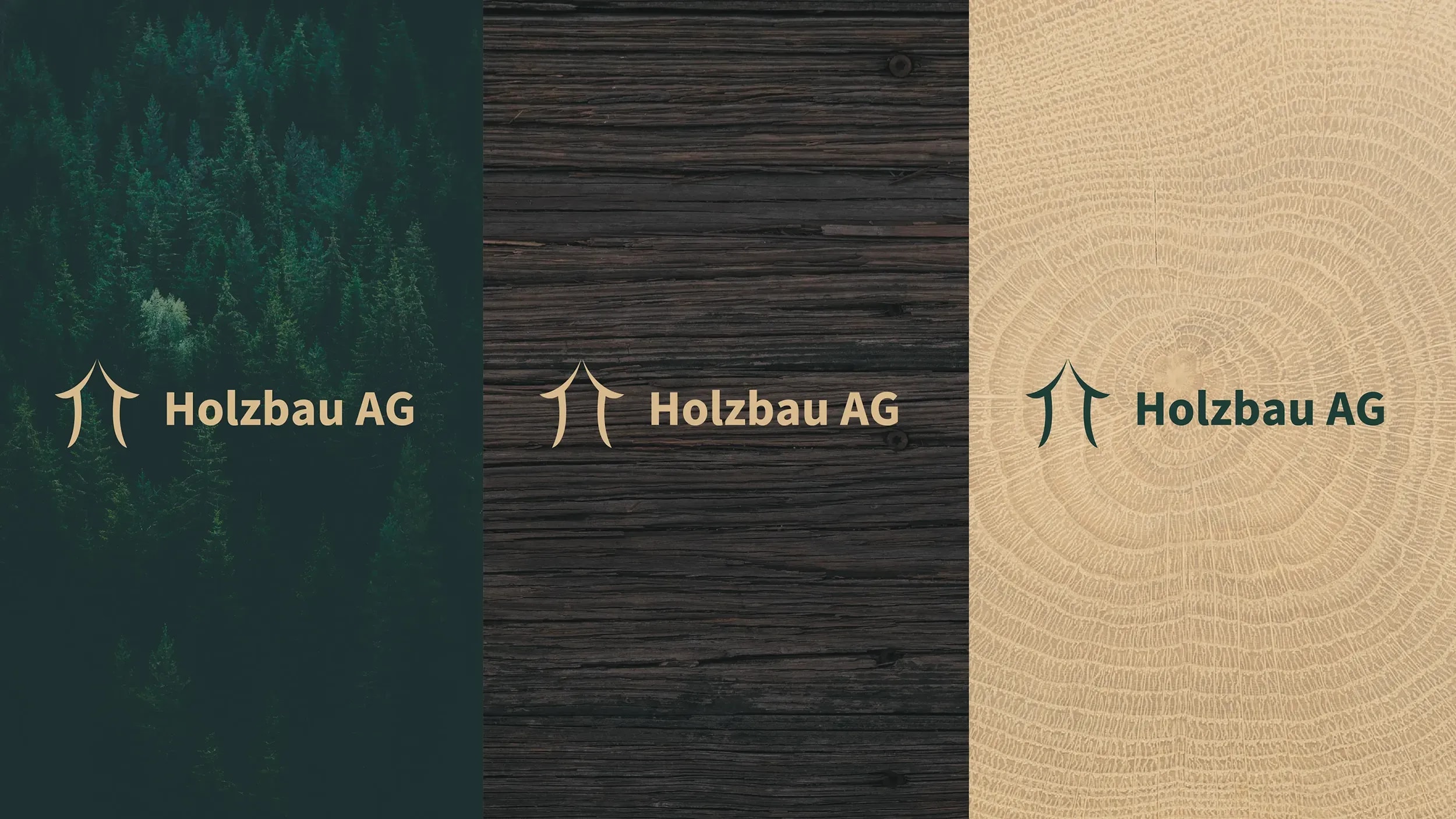 Logo der Holzbau AG in drei Farbvarianten: goldfarben auf Waldfoto, goldfarben auf dunklem Altholz und dunkelgrün auf hellem Jahresring-Holz.