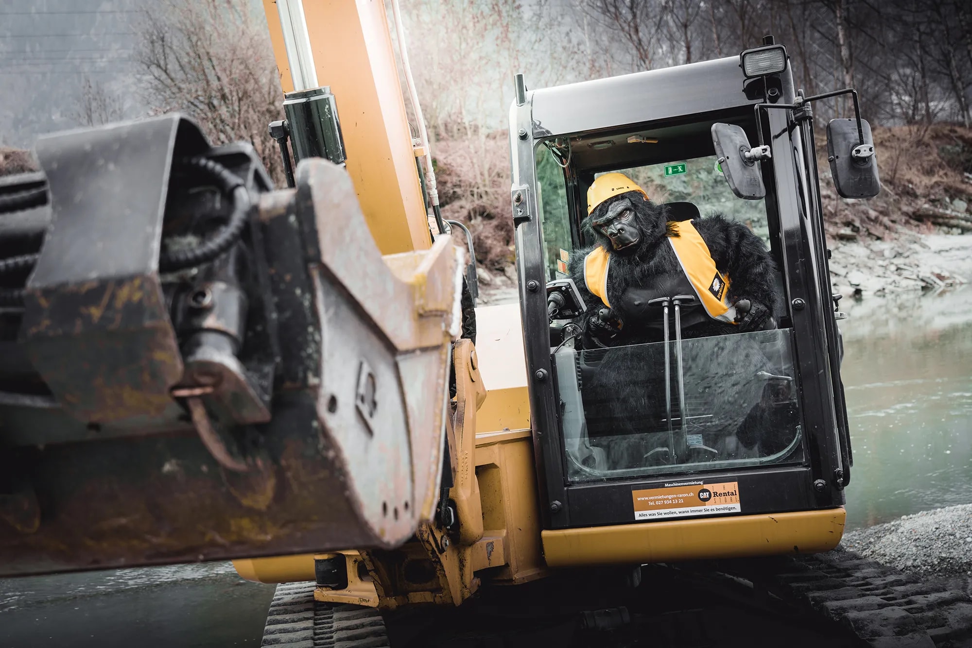 Monkey in an excavator