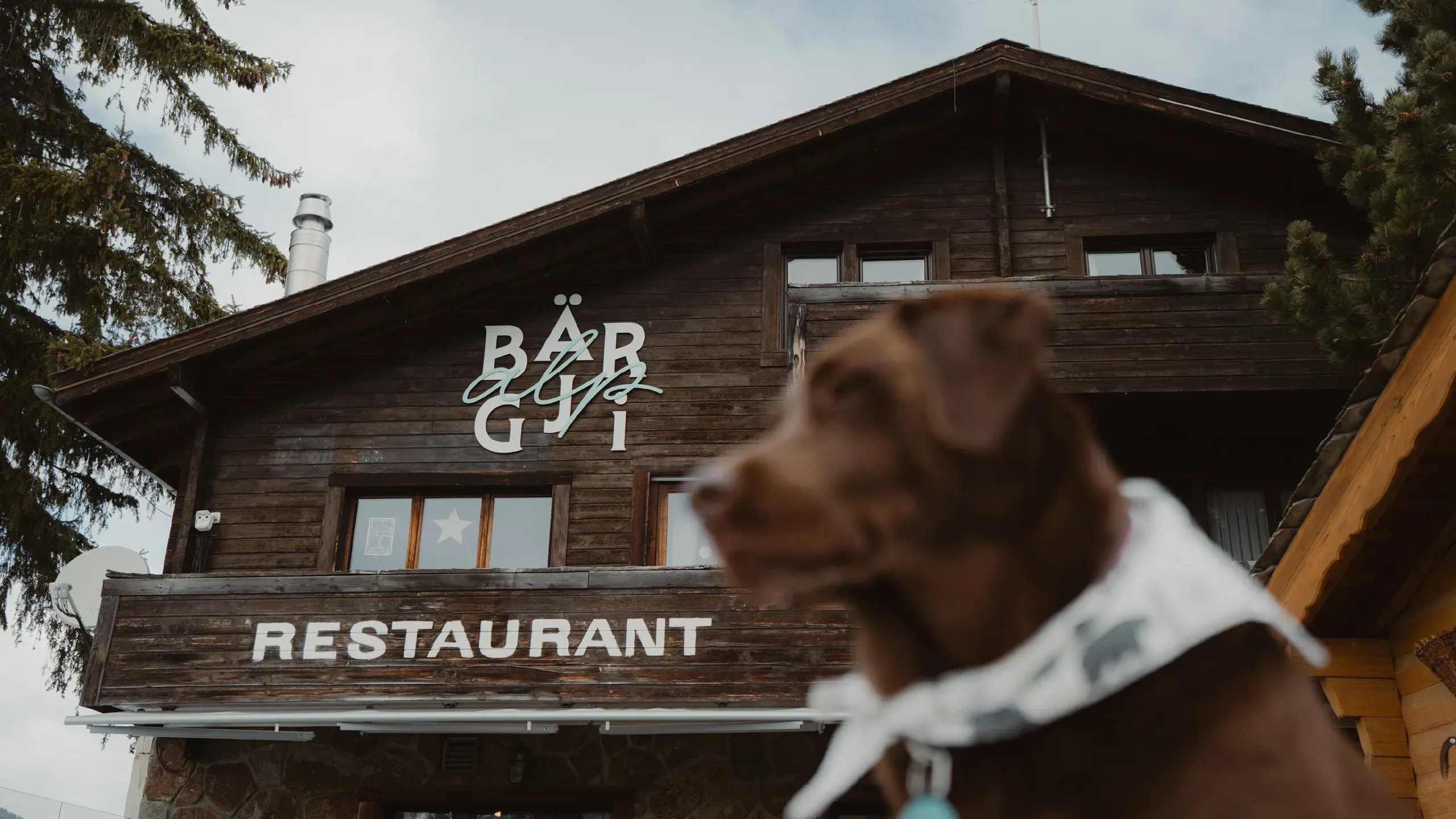 Bild aus dem Projekt «Restaurant Bärgji Alp – Branding, Website & Content» für Baergji Alp
